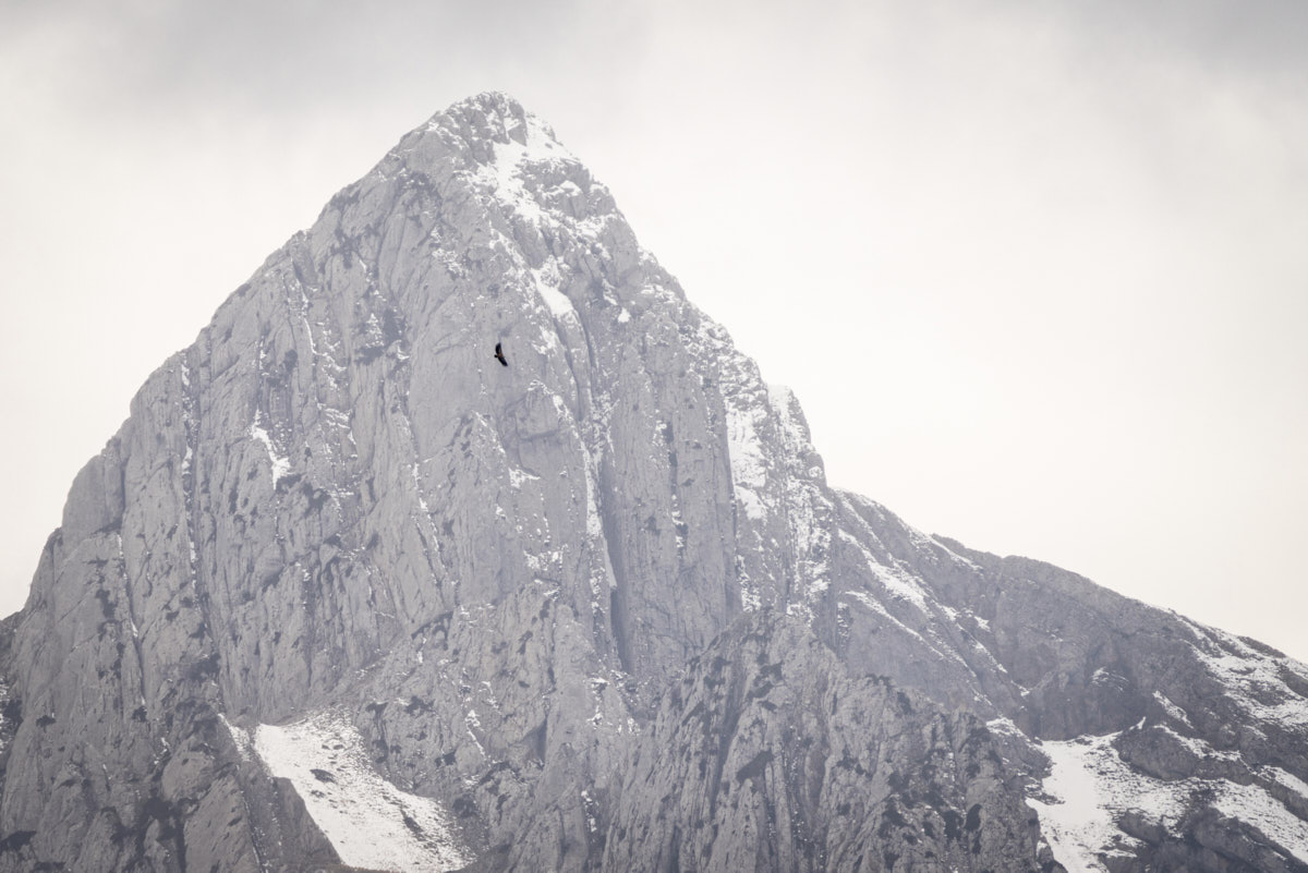 Documental, montaña, naturaleza