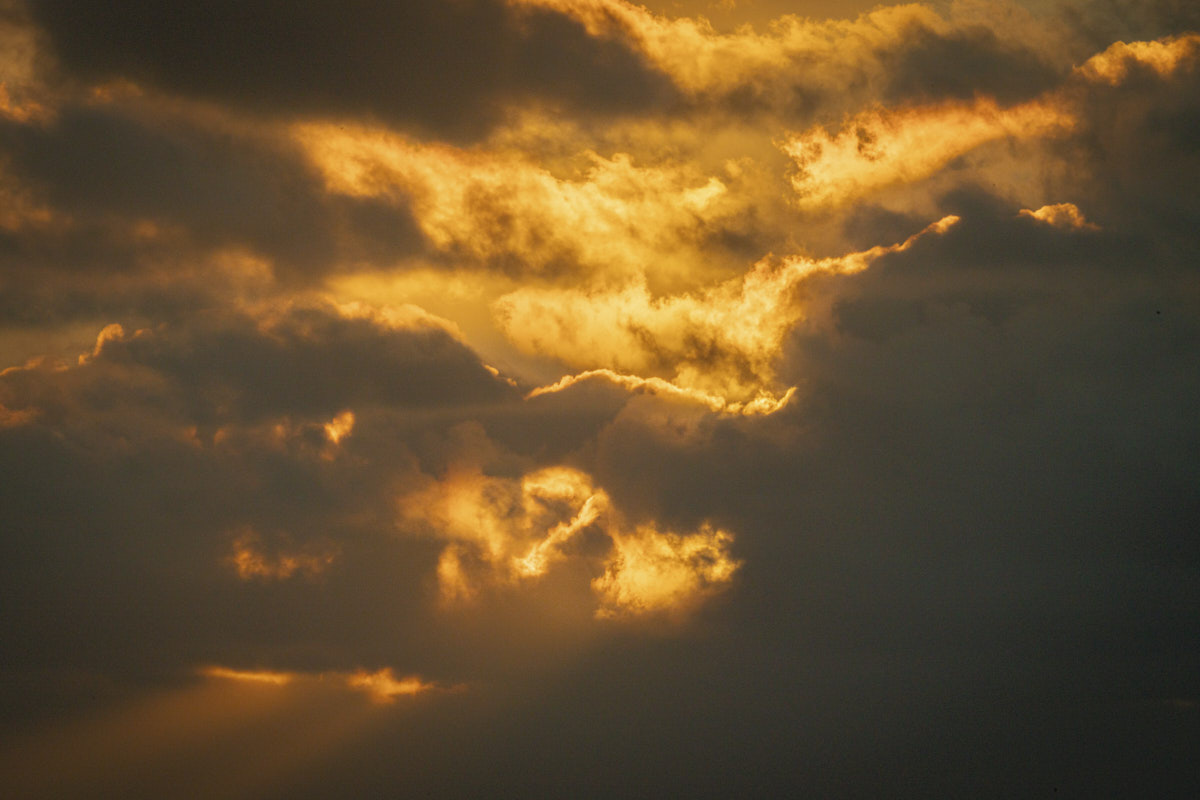 Documental, puesta de sol, naturaleza