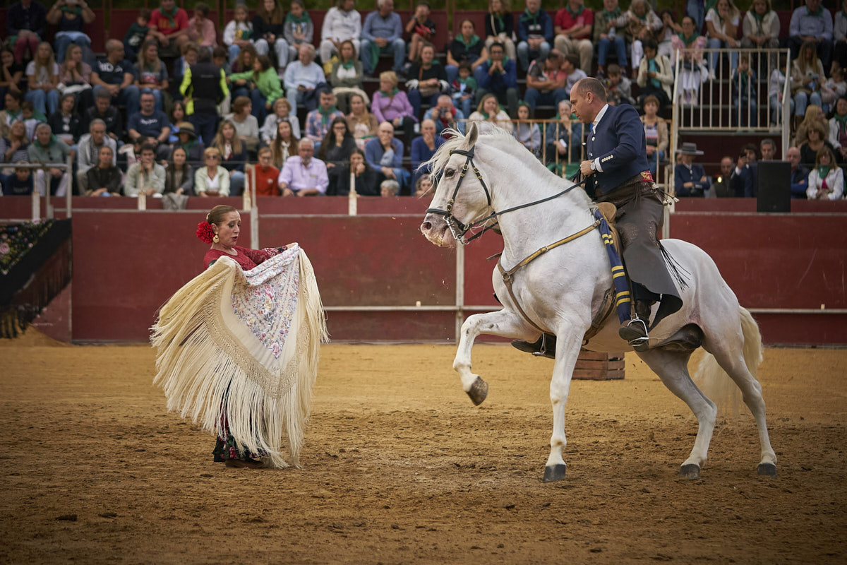 Caballo, evento deportivo y entretenimiento. Espectáculo ecuestre.