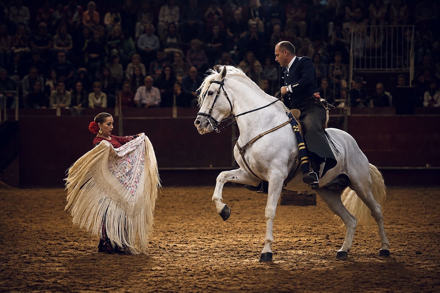 Espectáculo de baile equestre